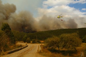 Hasta el lugar se han trasladado tres brigadas del Ejército para apoyar el trabajo de Conaf y Onemi.