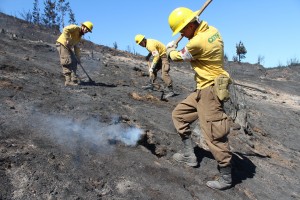 BRIFES COMBATE INCENDIOS 3